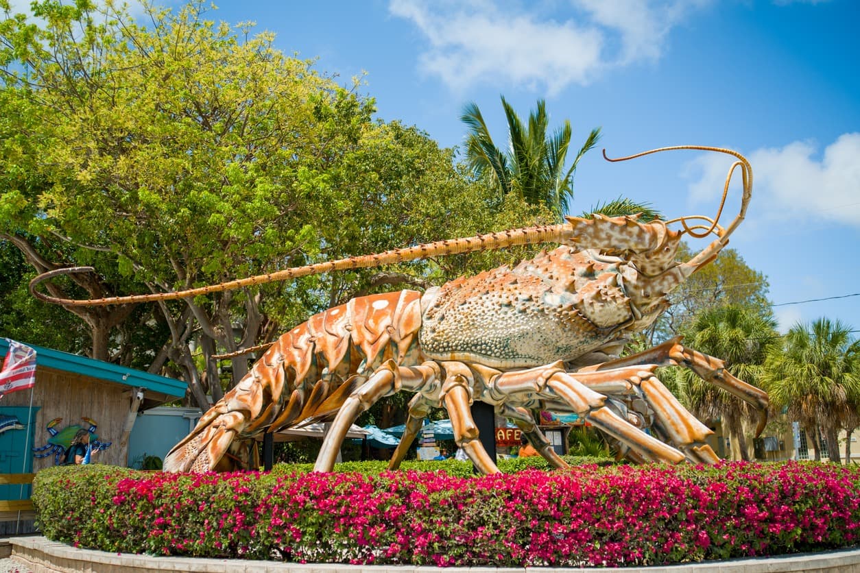 Lobster Mini-Season Begins Tomorrow. Here's What You Need to Know Before You Head to the Keys.